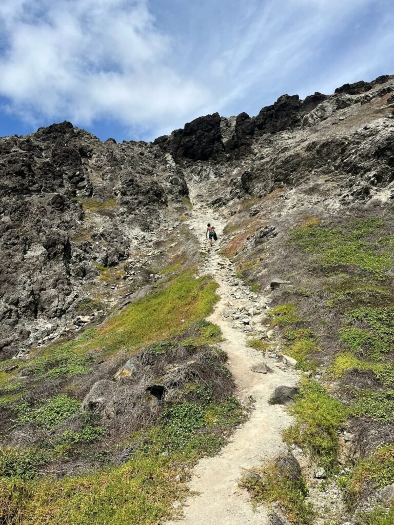 Trilha do Abreus em Fernando de Noronha