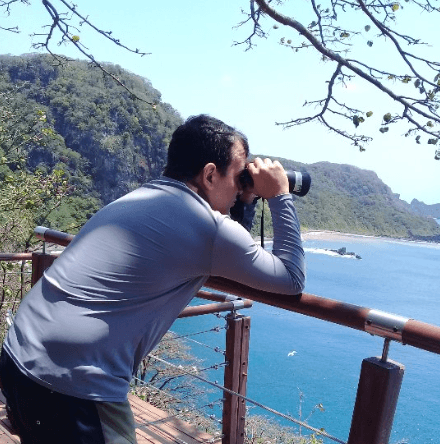 Melhores passeios para ver golfinhos em Noronha