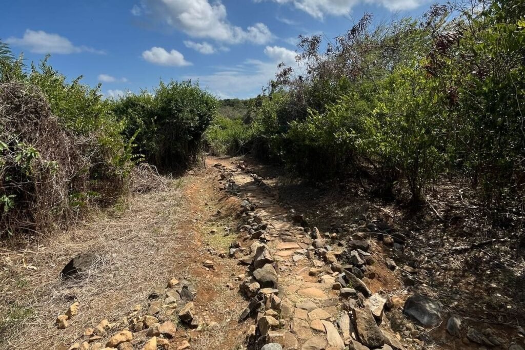 Trilha da Atalaia Curta em Fernando de Noronha