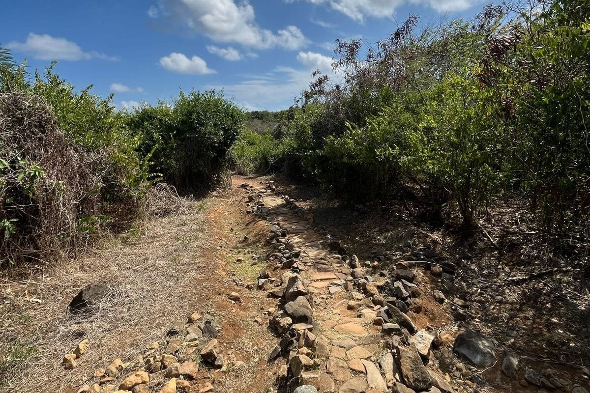 Trilhas de Fernando de Noronha