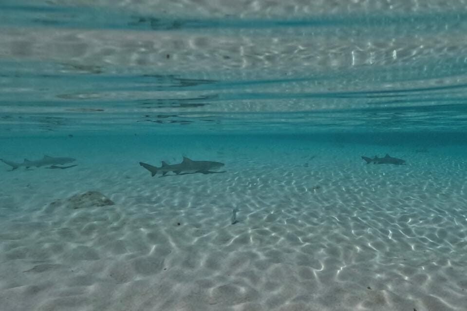 Trilha da Atalaia Curta em Fernando de Noronha