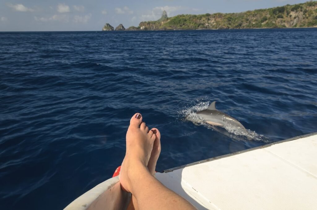 Passeio de barco tradicional em Noronha