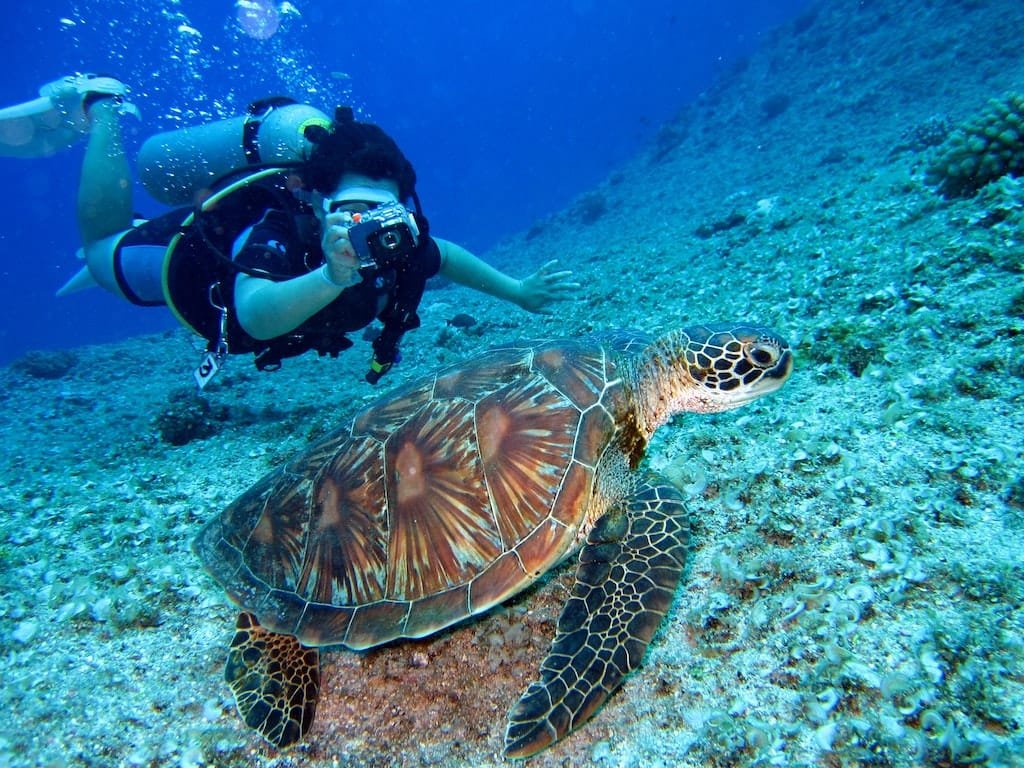 Mergulho de cilindro em Fernando de Noronha