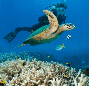 Mergulho de cilindro em Noronha