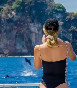 Golfinhos durante - Passeio de Lancha em Fernando de Noronha - Lancha Trovão dos Mares