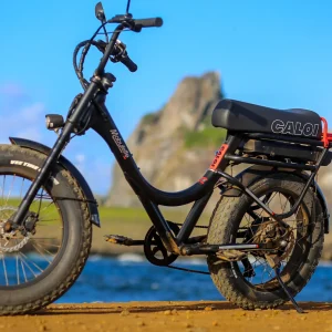 Aluguel de bike elétrica em Fernando de Noronha