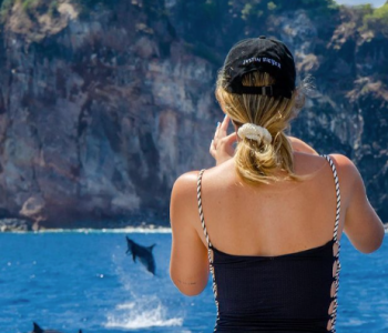 Golfinhos durante - Passeio de Lancha em Fernando de Noronha - Lancha Trovão dos Mares