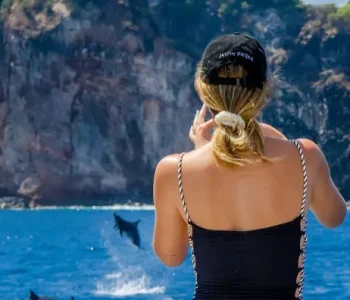 Golfinhos durante - Passeio de Lancha em Fernando de Noronha - Lancha Trovão dos Mares