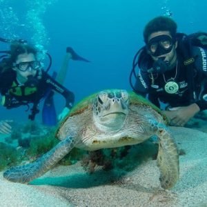 Mergulhadores com uma tartaruga marinha durante mergulho de cilindro em Noronha