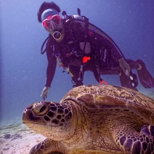 tartaruga durante mergulho de cilindro em Noronha