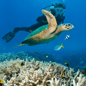 Mergulho de cilindro em Noronha