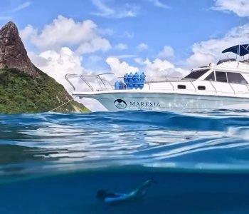 Passeio privativo de lancha embarcação Maresia - Fernando de Noronha