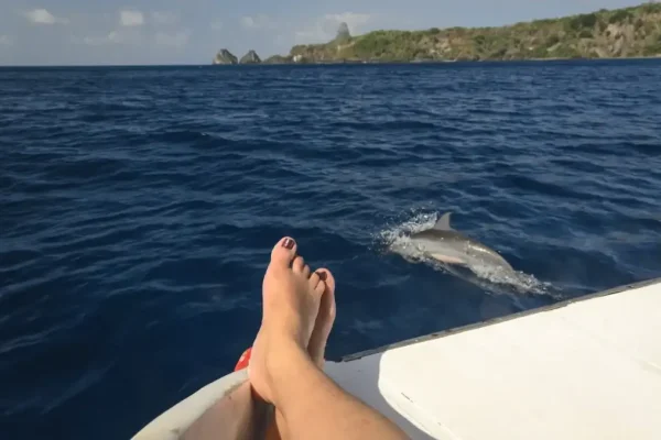 passeio de barco em Fernando de Noronha